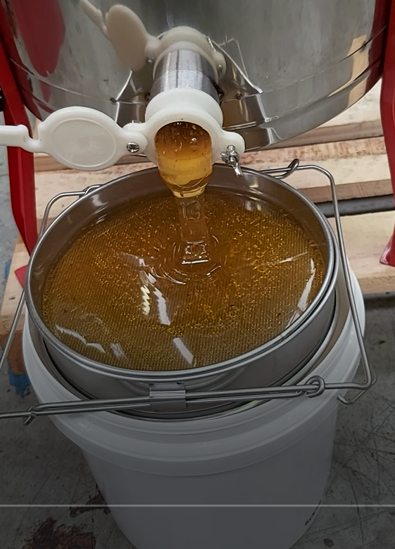 Double stainless steel honey strainer Hive World