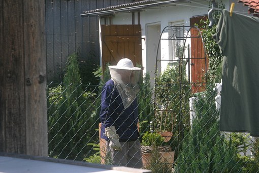 Urban beekeeping