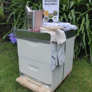 Beehive starter package