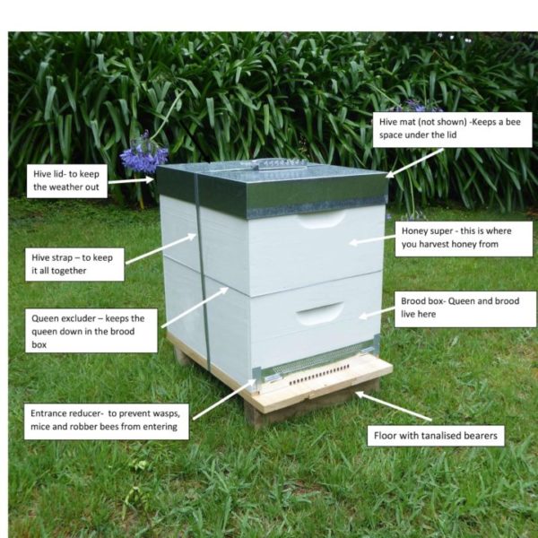 Basic Hive Starter Pack