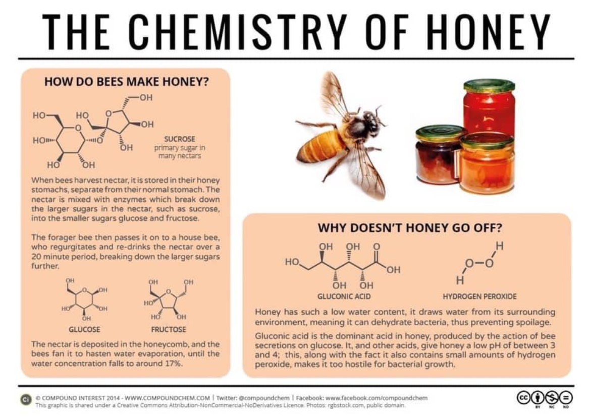 the-chemistry-of-honey-hive-world-secrets-from-the-beehive