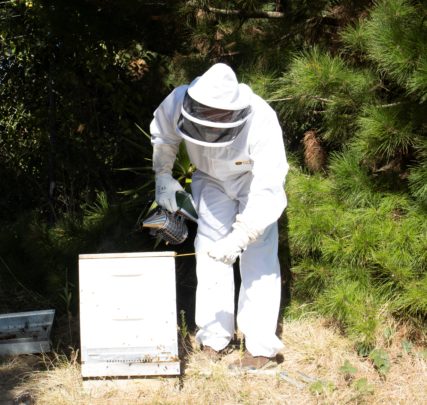 Beekeeper Protection