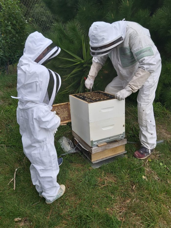 Children's Beesuits - Image 2