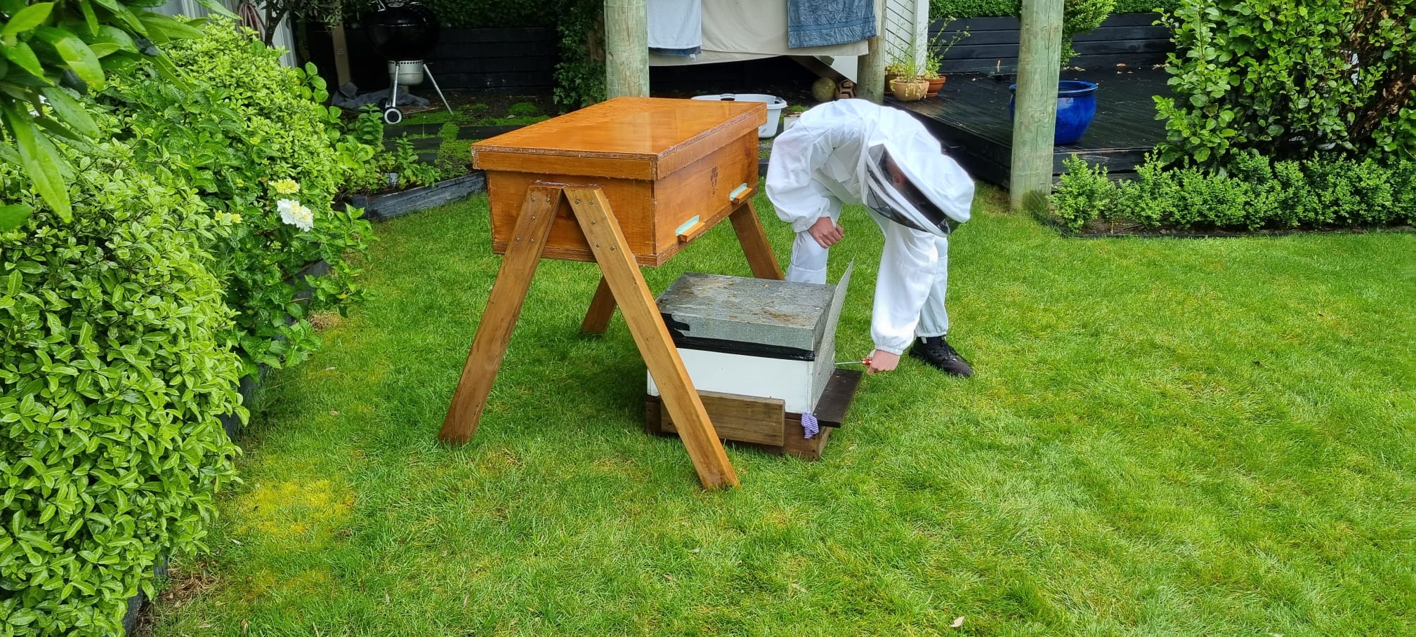 The journey of a bench hive